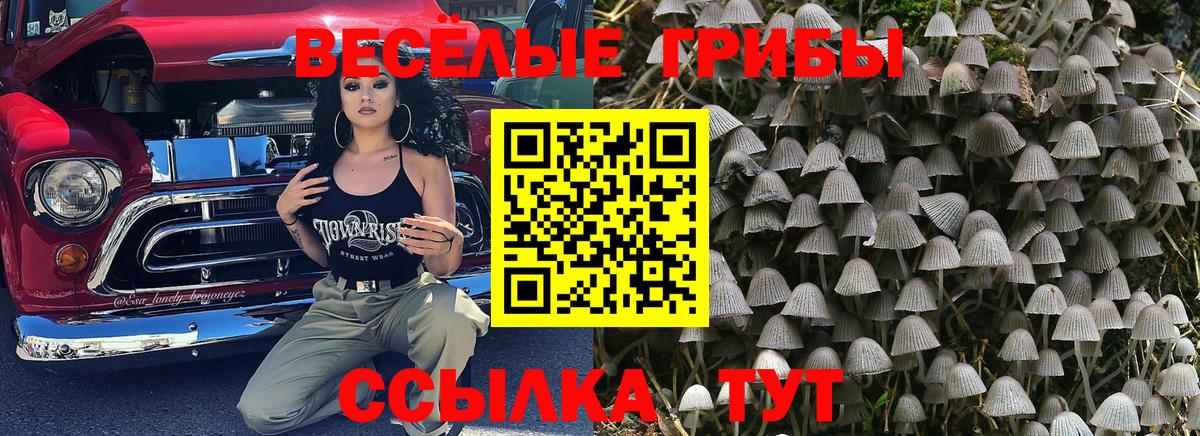 Нефтекумск  Псилоцибиновые грибы Magic Shrooms  Вход с VPN 