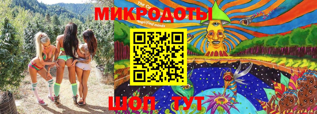 Псилоцибиновые грибы Psilocybine cubensis Нефтекумск